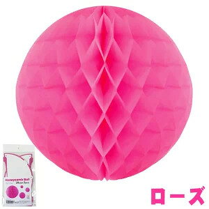 �yExcel Point/�G�N�Z���|�C���g�z �n�j�J���{�[�� 20cm 2����@���[�Y (4110254)