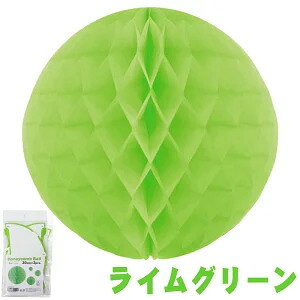 �yExcel Point/�G�N�Z���|�C���g�z �n�j�J���{�[�� 20cm 2����@���C���O���[�� (4110253)