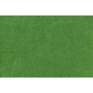 yPaper Intelligence/y[p[CeWFXz | STCY |017i4108652j