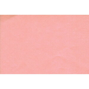 yPaper Intelligence/y[p[CeWFXz | STCY 033i4108662j