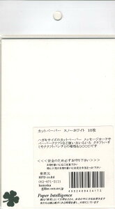 yPaper Intelligence/y[p[CeWFXz Jbgy[p[ Xm[zCg 10i4101198j