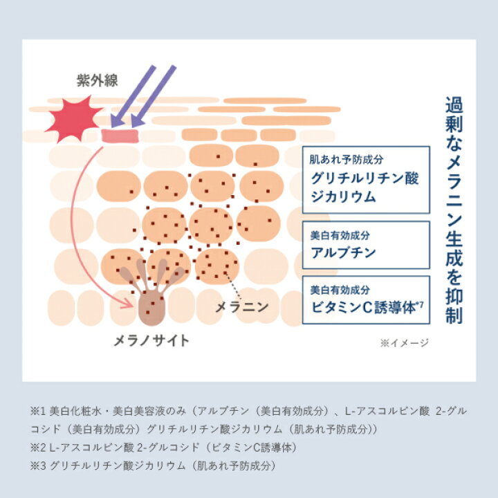 値引きする 草花木果 美白化粧水つめかえセット Yashima Sobaten Com