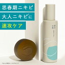 【ポイント10倍 8/4 20:00-8/11 9:59】【公式】草花木果 薬用ニキビケア 2点お試しセット（アクネ洗顔石けん＋化粧水）（医薬部外品）そうかもっか スキンケア ドクダミ どくだみ ニキビ ニキビケア にきび アクネ 肌あれ 肌荒れ メンズ 無添加 日本製 お試し セット