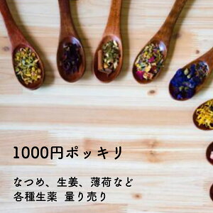 y1000~|bLʂ蔄znbJ//LLE/j[/G]ERM/ Ȃ//lY~`/q/VEK/I