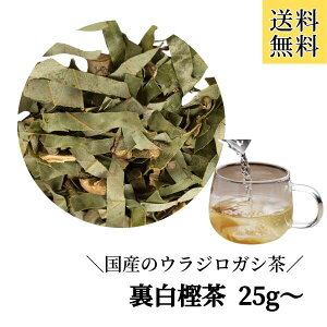 yYEWKV/25g`zY ~ EWKV N   Ϗo Β 炶낪  {Y