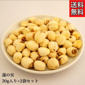 楽天市場 蓮肉 健康食品 ダイエット 健康 の通販