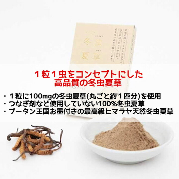 楽天市場】品質に自信あり【冬虫夏草/15カプセル入り】100％冬虫夏草 