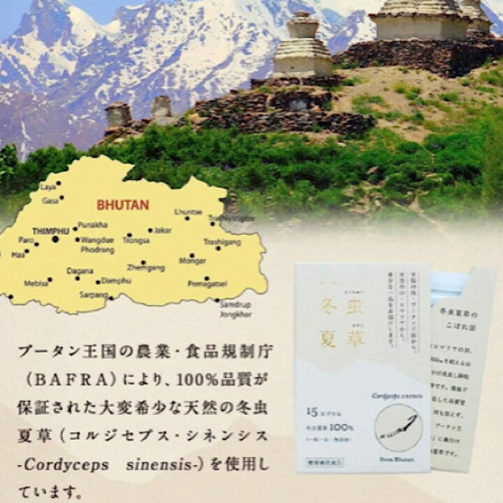 楽天市場】品質に自信あり【冬虫夏草/15カプセル入り】100％冬虫夏草 
