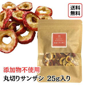 yې؂Rq/25gzYsgp TUV 񂴂  RqW[X sgp Rq 񂴂 Rq N  V ޗ V