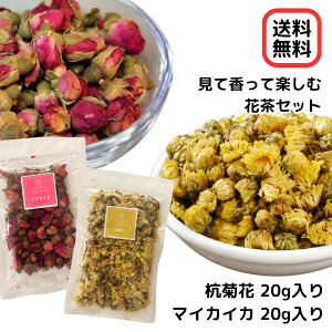 yčĊyށIԒZbg/}CJCJYeԃZbgzԒ/n[ueB[/e/N/eԒ/o/KN//e