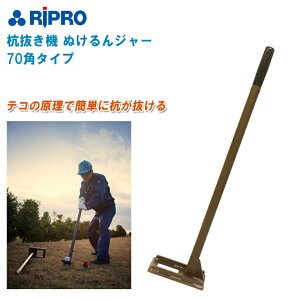 RIPRO v YL@ ʂW[ 70p^Cv KNUKI70yYL y z Hz