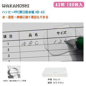 JzV nbs[PPC h A3 100 HB-A3yA3 ʖh H OƏvH} O|X^[ [U[v^[p }piz