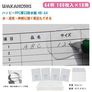 JzV nbs[PPC h A4 100×10 HB-A4yA4 ʖh H OƏvH} O|X^[ [U[v^[p }piz