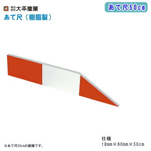 啽Y ĎځijĎ50cmy{ W  ڈ ʐ^ {Hʐ^ Hʐ^ 034-1053z