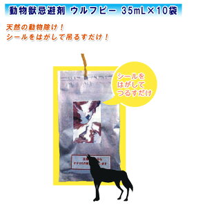 b Ets[ 35mL×10 WOLFyJASL@Kޕi VR̓ z
