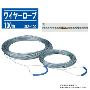 ʃ[v C[[v 100m SSR-100yX`[ 1mڐ [va3mmӁzʐ^͑\摜łBۂ̏iƂ͒قȂ܂