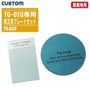 CUSTOM JX^ vTG-01UpZv[gZbg TG-01CP