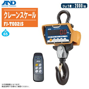 G[EAhEfB ADN[XP[ FJ-T002iSyЂ傤:2000kg A~ ho h zCXgXP[ ݂͂ FJ-iV[Yz