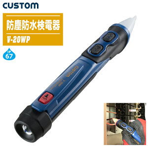 CUSTOM JX^ hohd V-20WPyሳd hoEh\ ϗ\ AC12V`Ch[hz