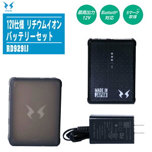SUN-S TGX _p 12Vdl `ECIobe[Zbg RD9291Jy{ t@tEFA ƒ   MǑ΍ t@Zbg 2024Nfz