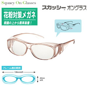 Squacy On Glasses XJbV[IOXKl̏ォ ԕ΍􃁃Kl 8816-01 lpEt[TCYy~ UVJbg \tgP[Xt ԕ΍ 򖗑΍ ԕh~ ዾ ԕEAM[