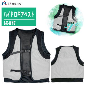 LINXAS NTX nChMAxXg LX-HYG ypxXg N[xXg ҏ΍ MǑ΍   ⊴ AEghA Lv ނz