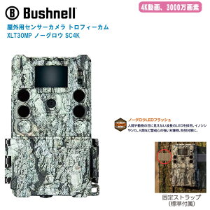 Bushnell ubVl OpZT[J gtB[J XLT30MP m[OE SC4KyĎJ hƃJ lĎJ h^ĎJ bQ΍z