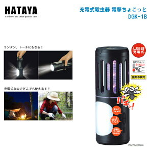 HATAYA n^ [dE d傱 EOp^ USB[d DGK-1ByE ގ E g[` ^ AEghA OƁz