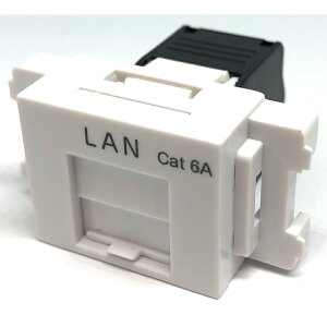 RJ45 Cat 6A L[XgWbN vX`bN➑ TIA-568A/B JISΉtFCXv[g(Fjt [֔z