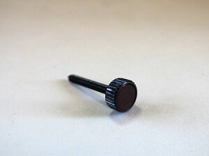 10202 �J�[�l���A�� ���l�W(�X�N�����[�̂�) Adjuster Screw with GEM STONE for Wittner 902/904�V���[�Y