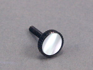 11408 �p�[�� ���l�W(�X�N�����[�̂�) Adjuster Screw with GEM STONE Wittner 906�V���[�Y�p