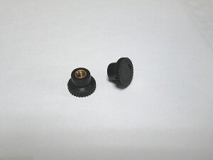 Viva La Musica XN[ (lW) (1) ؐoCIp