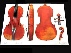 Nicolas Lupot violin 1808 (バイオリン ポスター)