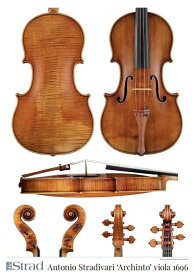 Antonio Stradivari 'Archinto' viola 1696 (ビオラ ポスター)