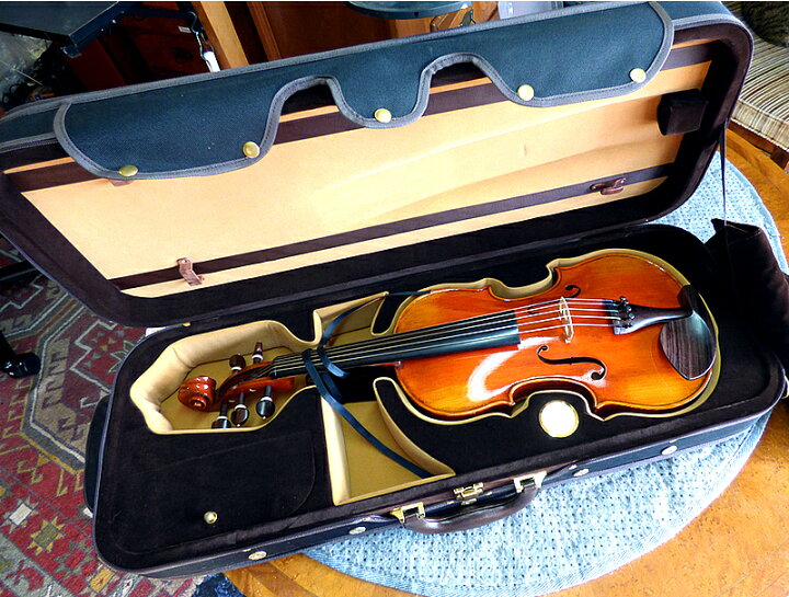 楽天市場 Luthier 5 String Viola 16 Inch Rosewood Ft 5弦ビオラ 楽器単体販売品 底値楽器屋