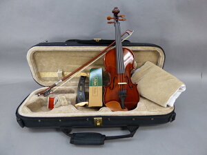Advanced Violin Set 1/10 #10