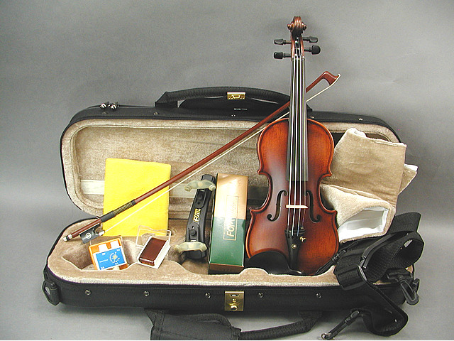 コンサート バイオリン 10 　DLX-1