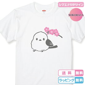 【しまえながTシャツ】シマエナガTシャツ シマエナガ桜半袖Tシャツ 全3色 さくらTシャツ サクラTシャツ 小鳥デザイン 鳥デザイン しまえながグッズ とりTシャツ シマエナガデザイン