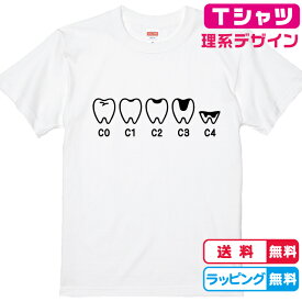 理系Tシャツ おもしろTシャツ 虫歯Tシャツ 全3色 綿Tシャツ 面白Tシャツ 歯のTシャツ 歯磨きTシャツ 化学Tシャツ　科学Tシャツ かわいいtシャツ