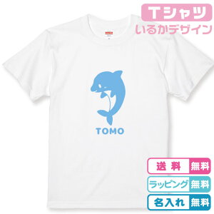 ꖳ ǂCJTVc zCg  vgJ[S6F TVc 100TVcn LOTVc oYMtg aMtg l[TVc oYj 邩TVc