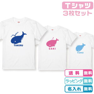 yeqTVczTVc TVc 3Zbg eqNWTVc  S2F vgJ[6F 100 ꖳ LOTVc oYMtg aMtg eqyATVc 