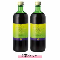 ファストザイム スリム 720ml 【2本セット】【送料無料】