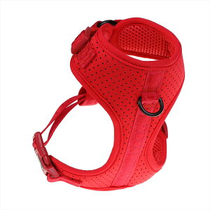 ϐ  n[lX DOOGyzlIX|[c n[lX pn[lX lIv AEghApn[lX ߉\Ȍpn[lX yʌpn[lX ϋv pX|[cn[lX ^ 