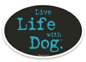  XebJ[   dogisgood J[}Olbg CtEBYhbO