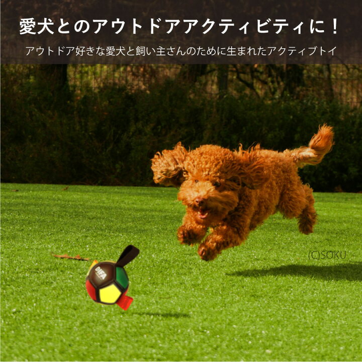 楽天市場】DIFA ディファ 犬 おもちゃ ボール ドッグトイ ボール遊び 