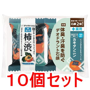 t@~[Ό p `aΌ VgXn[u̍ 80g×2×10Zbg