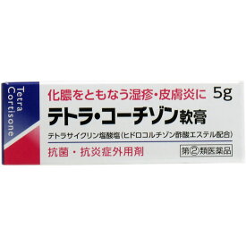 【第(2)類医薬品】 テトラコーチゾン軟膏 5g
