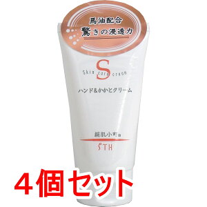  nhƃN[ `[u 100g×4Zbg