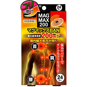 MAGMAX200 }O}bNXBAN 24