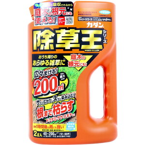 �J�_�� ������ �U�b�\�[�W�G�[�X 2L×2��